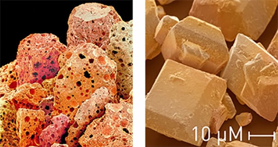 Grains de café et de sucre vus au microscope