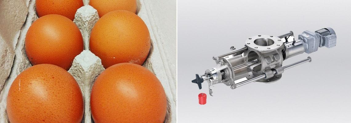 Transfert pneumatique de coquilles d’œufs broyées