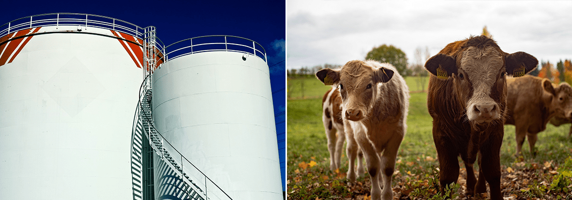 Silo de stockage et dépoussiéreur indépendant