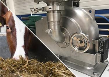 Broyeur industriel lysine alimentation