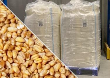 Conservation de graines en big bag