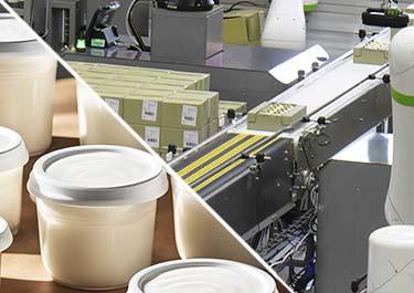 Mise sur palette de carton de dessert par un cobot, un robot collaboratif.