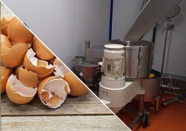 Process de transformation œufs