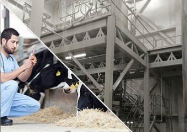 Mélange d'additifs à usage vétérinaire