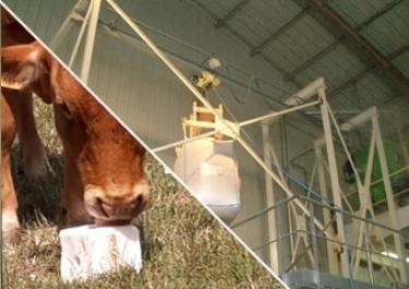 Vidange transfert additifs alimentaires animaux