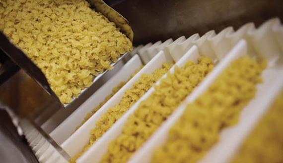 Palamatic-process-etudes-de-cas-agroalimentaire-sucre-laiterie-boisson-boulangerie