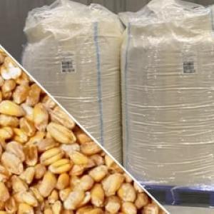 Conservation de graines en big bag