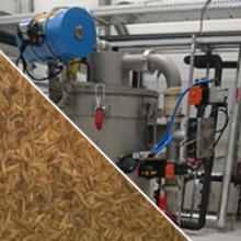 Atelier de tri d'insectes entomoculture