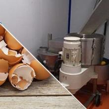 Process de transformation œufs