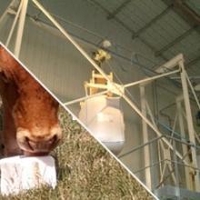 Vidange transfert additifs alimentaires animaux